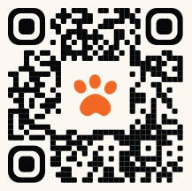 QR COode
