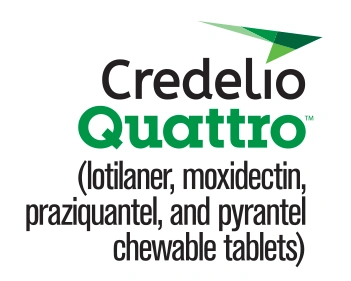 Credelio Quattro